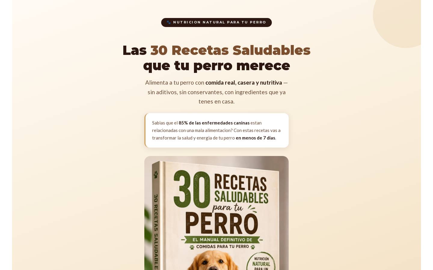 30recetassaludablesparaperros.site homepage screenshot