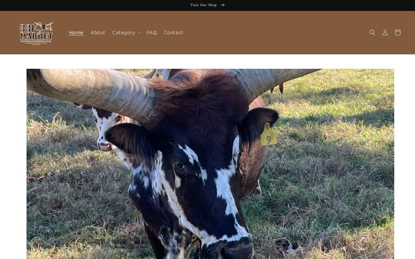 331stockmarket.com homepage screenshot