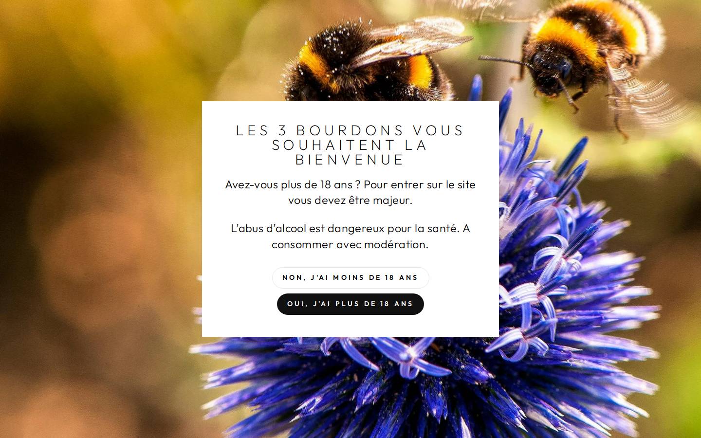 3bourdons.com homepage screenshot
