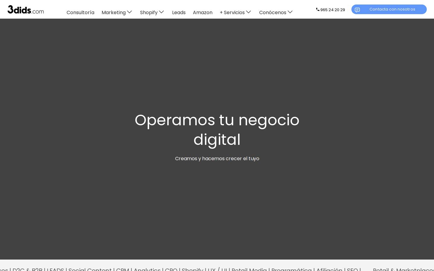 diseo y desarrollo de proyectos web alicante, posiciona homepage screenshot