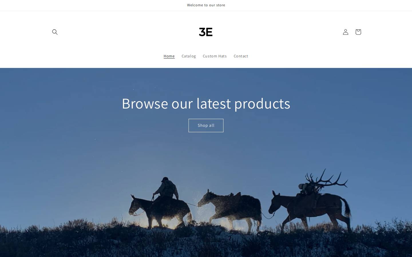 3ecustom.com homepage screenshot