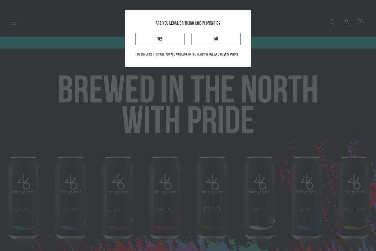 46north.ca homepage screenshot