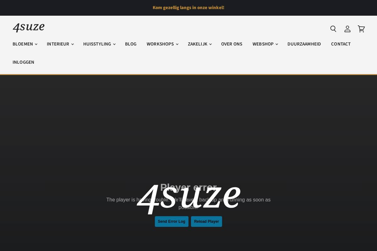 4suze homepage screenshot