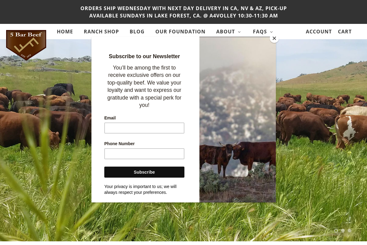 5BarBeef homepage screenshot