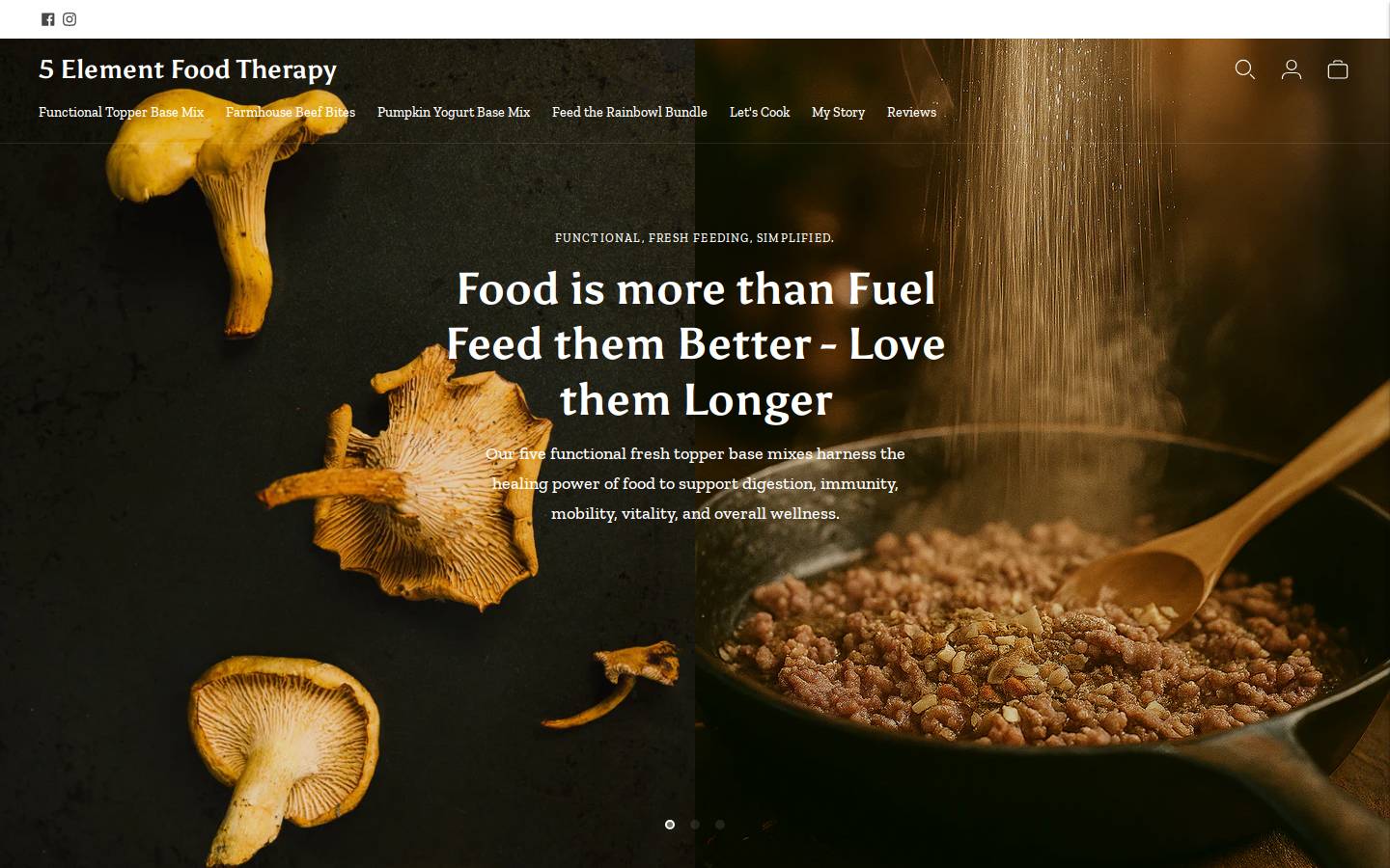 5elementfoodtherapy.com homepage screenshot