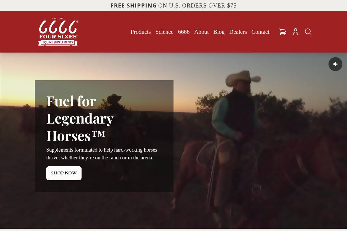 6666equinesupplements.com homepage screenshot