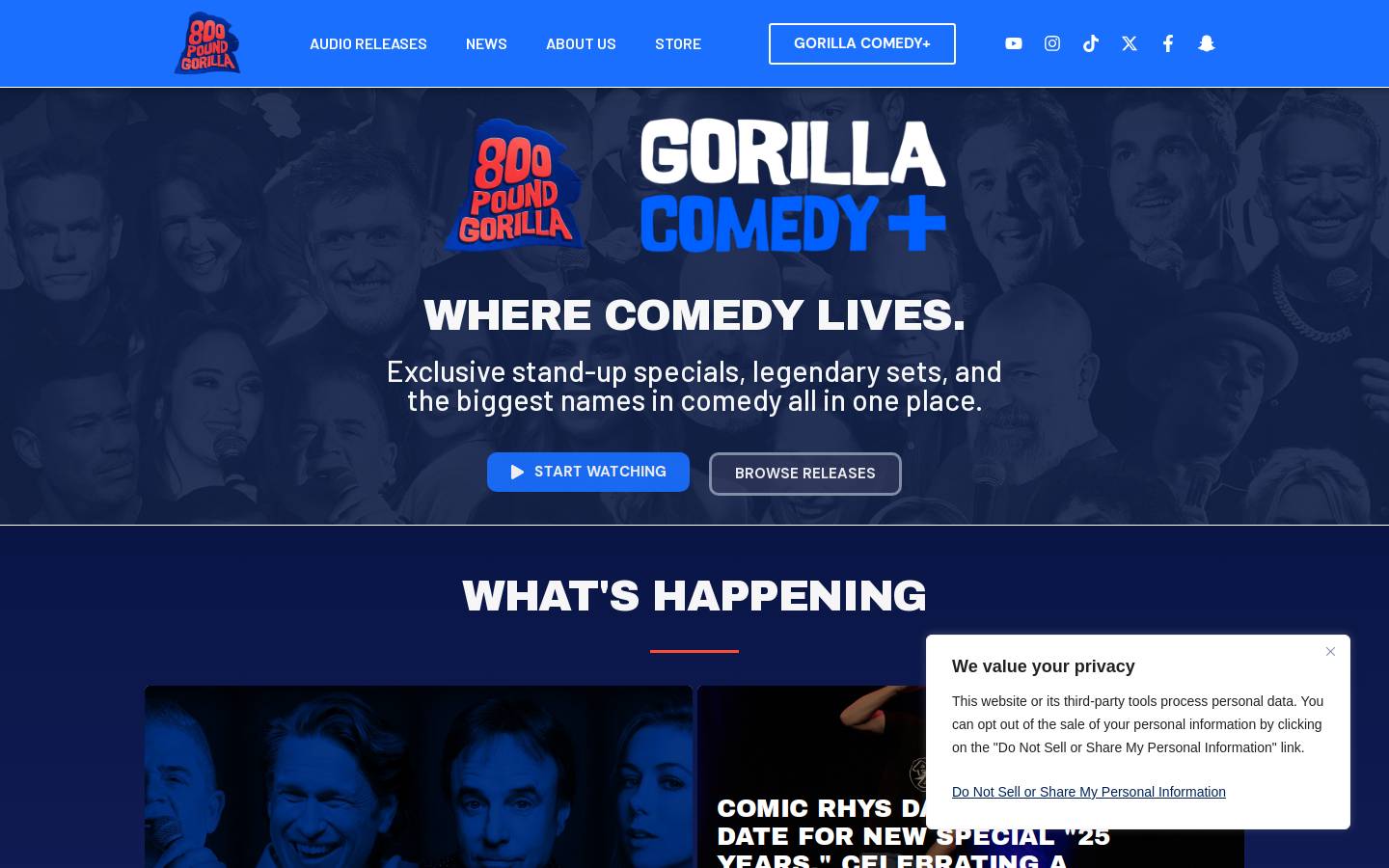 800poundgorillamedia.com homepage screenshot