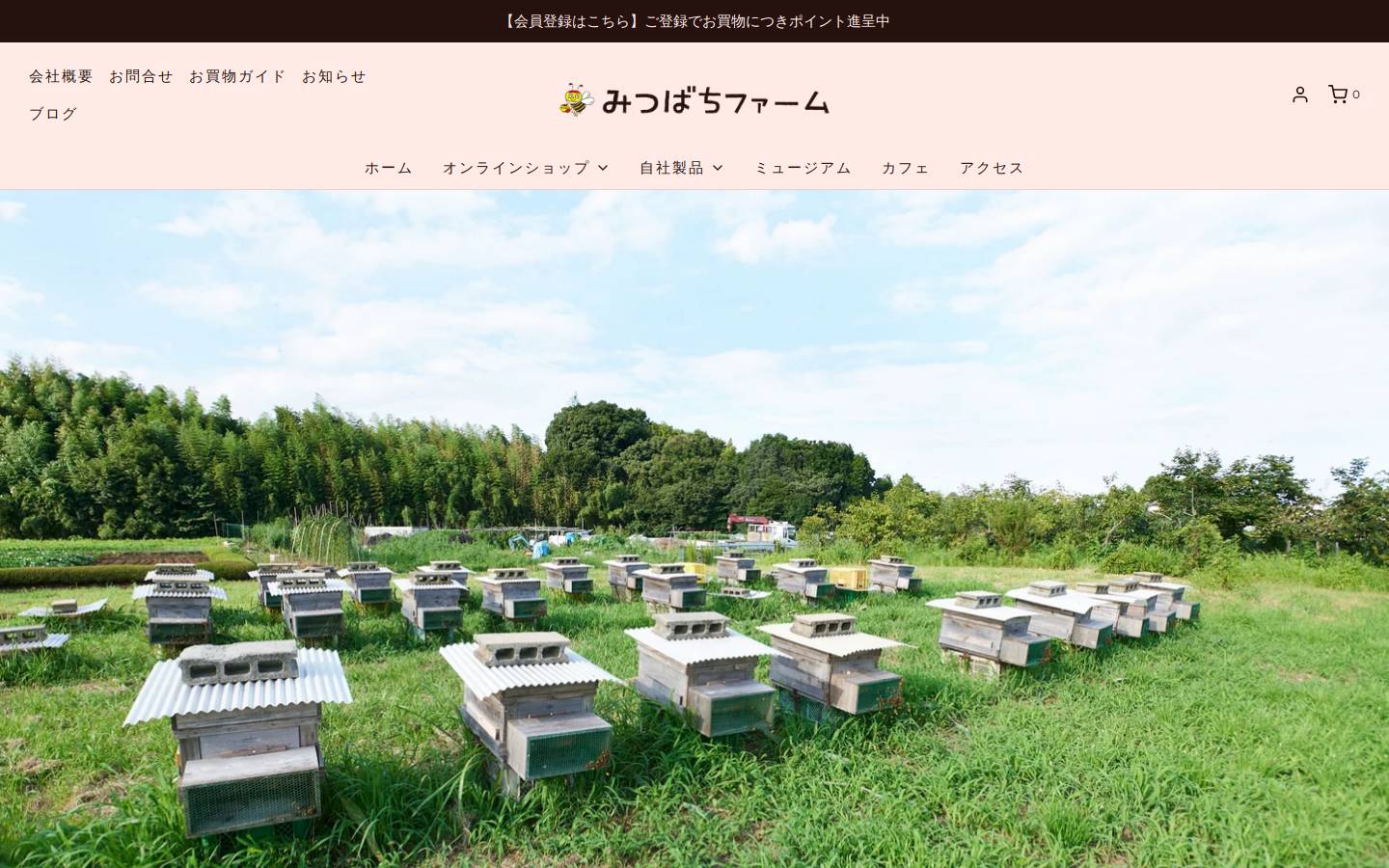 88838.net homepage screenshot