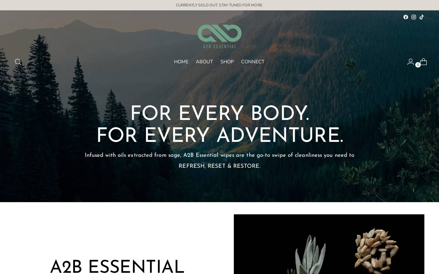 a2bessential.com homepage screenshot