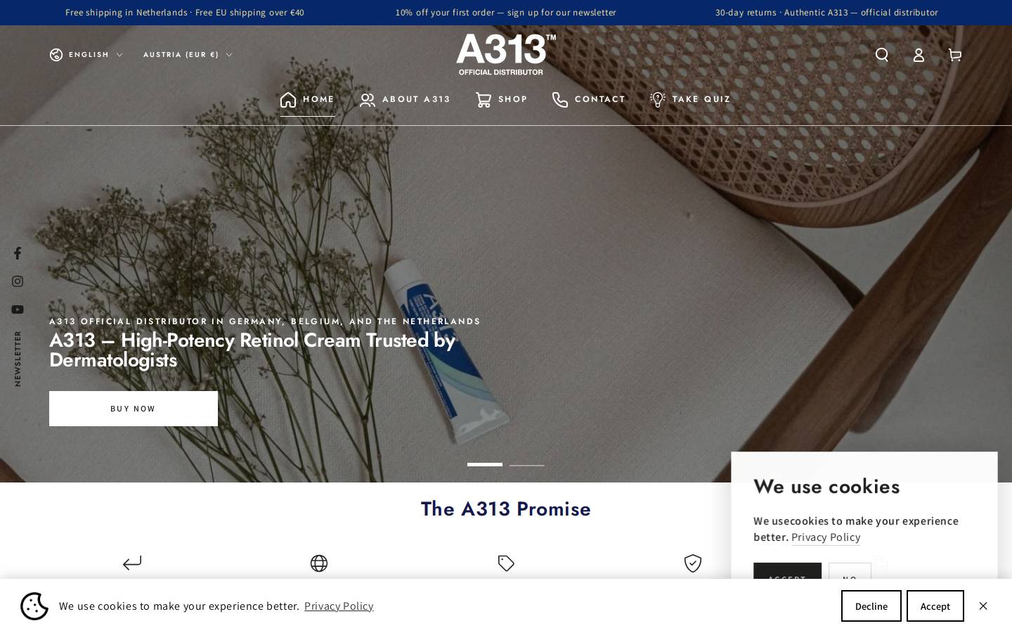 A313 homepage screenshot