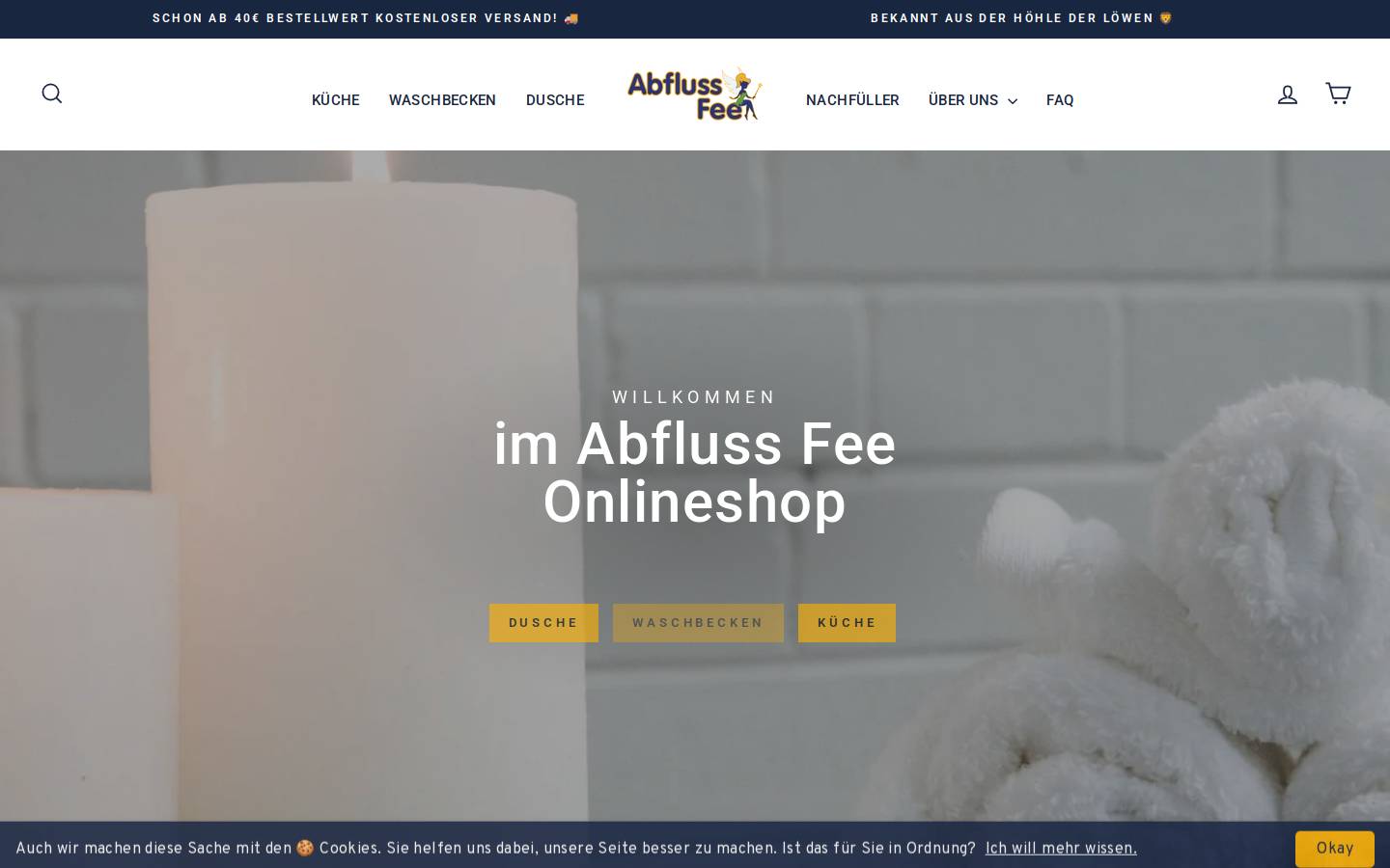 abflussfee-shop.de homepage screenshot
