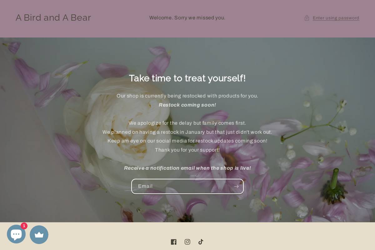 abirdandabear.com homepage screenshot