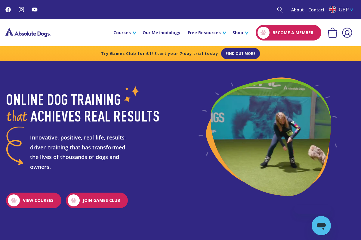 absoluteDOGS homepage screenshot