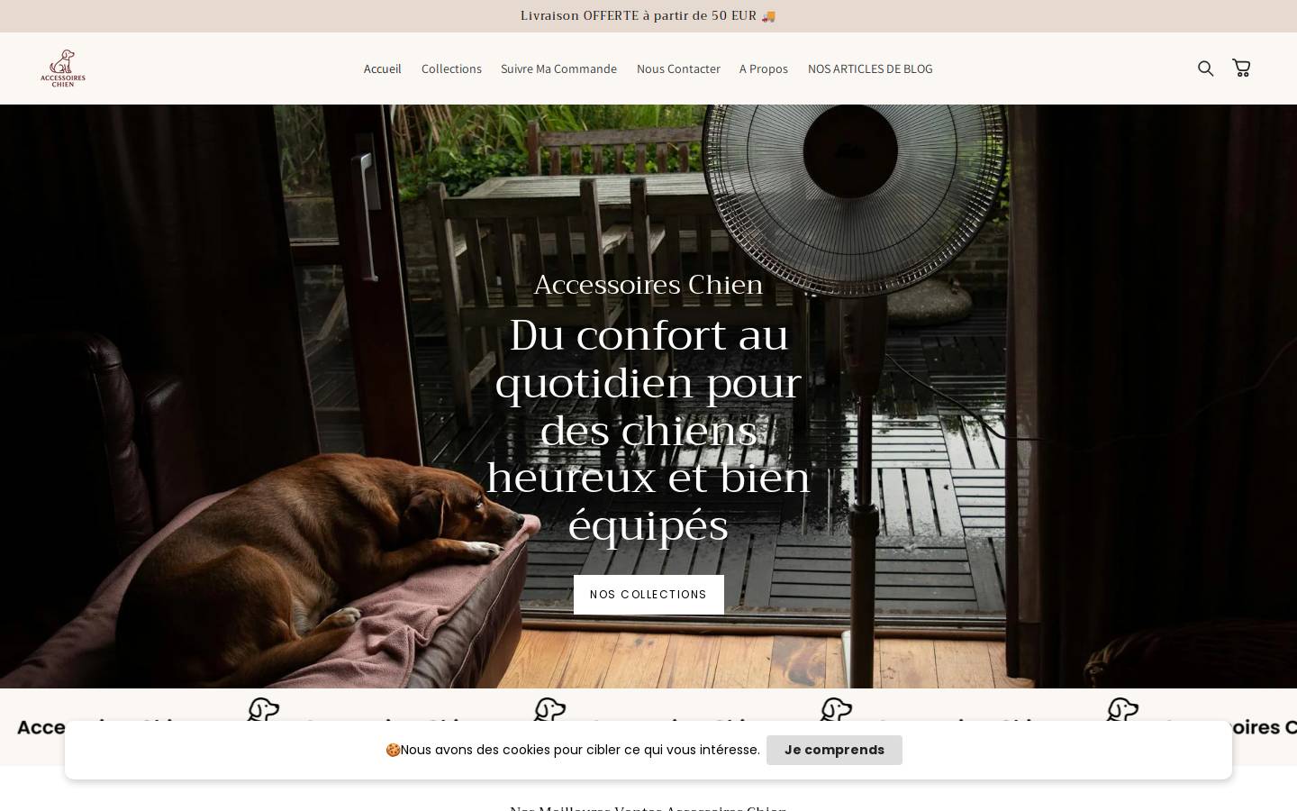 Accessoireschien homepage screenshot