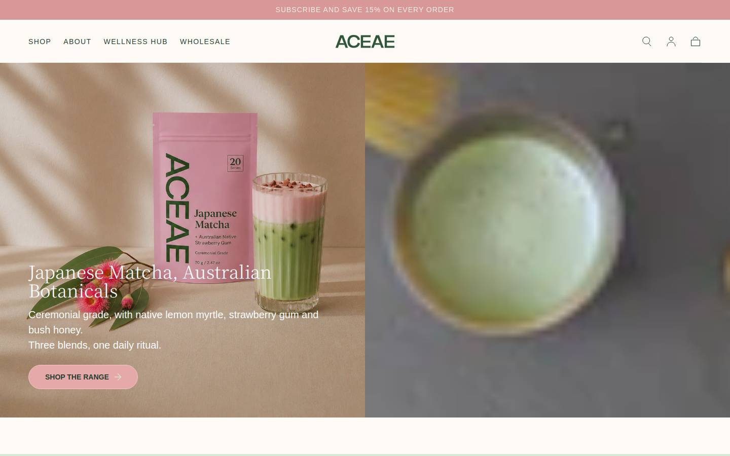 aceae.co homepage screenshot