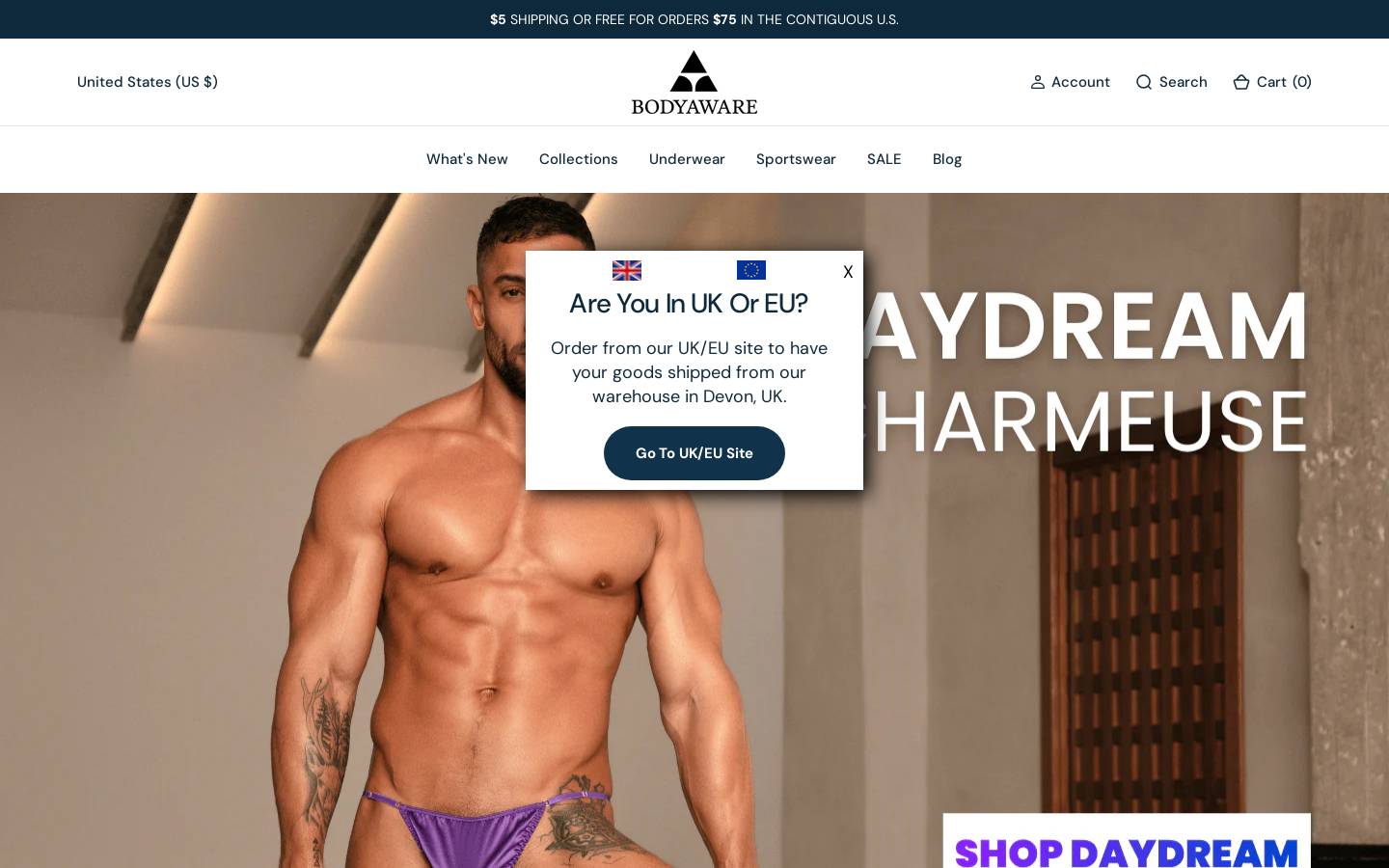 aceandindigo.com homepage screenshot
