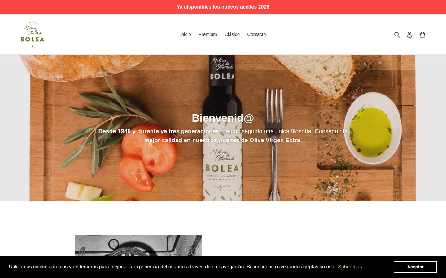 aceitedebolea.com homepage screenshot