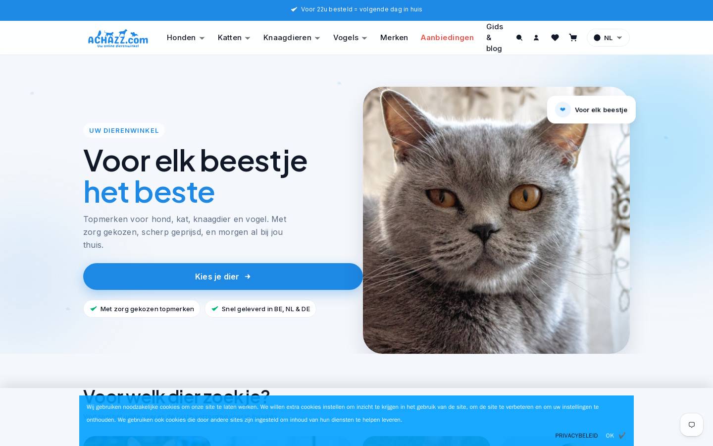 Achazz homepage screenshot
