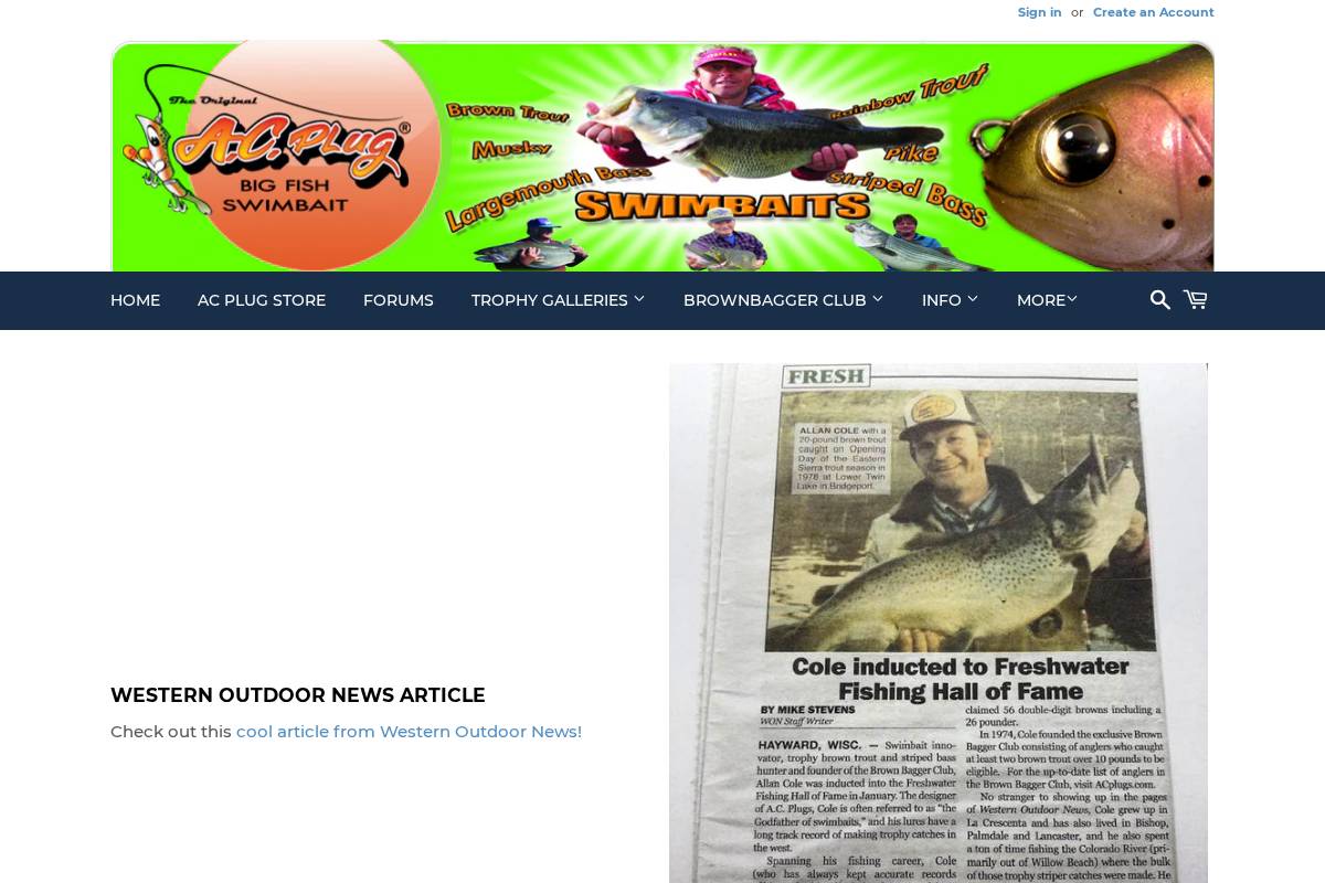 acplugs.com homepage screenshot