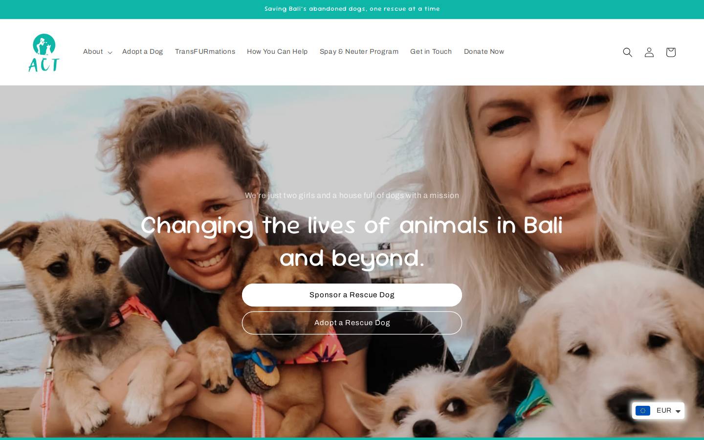 act4balidogs.com homepage screenshot