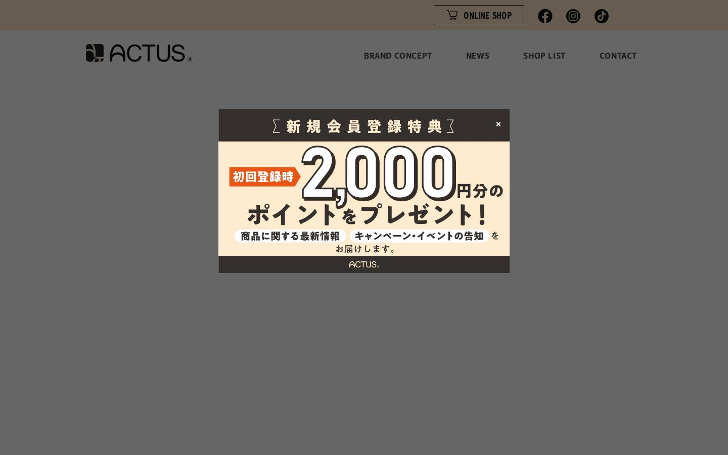 actus-bag.com homepage screenshot