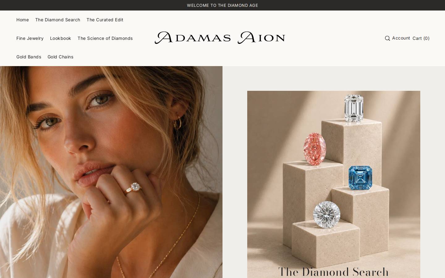 adamasaion.com homepage screenshot
