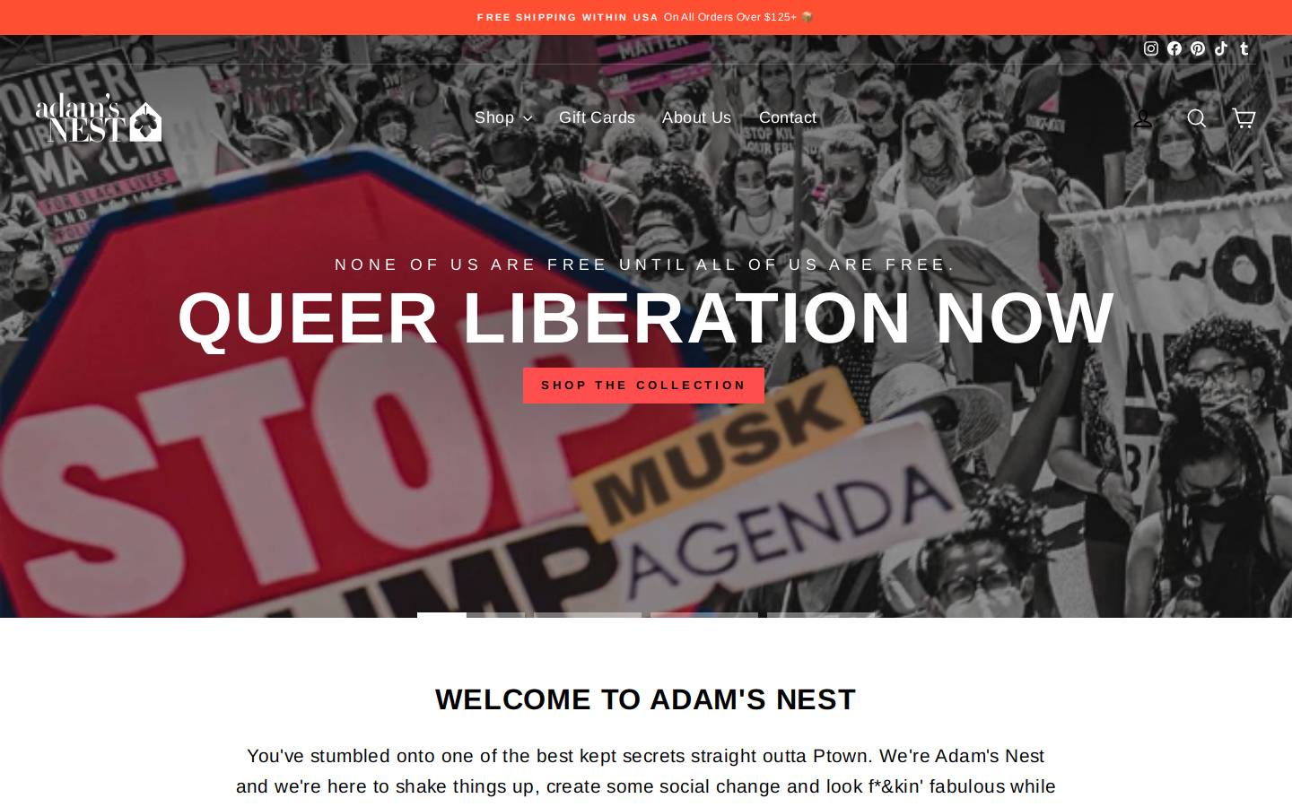 adamsnest.com homepage screenshot