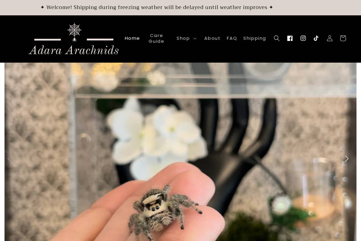 adaraarachnids.com homepage screenshot