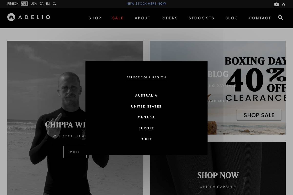 adelio.co homepage screenshot