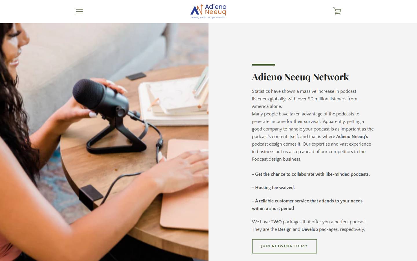 adienoneeuq.com homepage screenshot