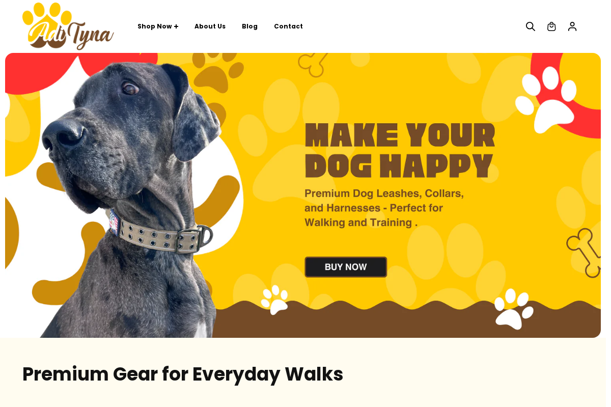 Adityna homepage screenshot