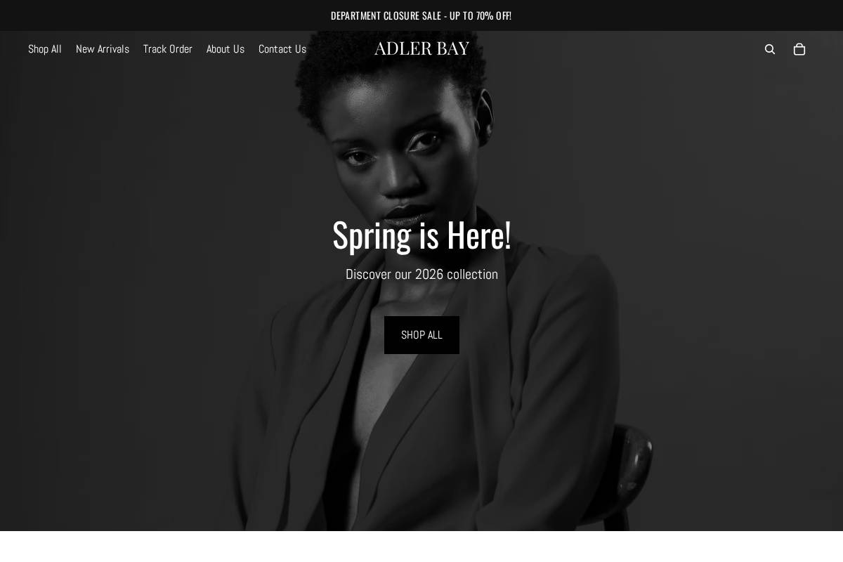 Adler Bay homepage screenshot
