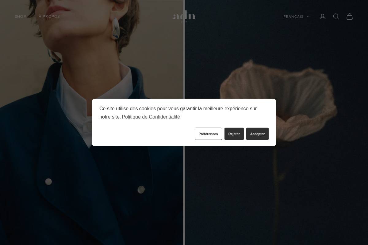 adn-paris.fr homepage screenshot