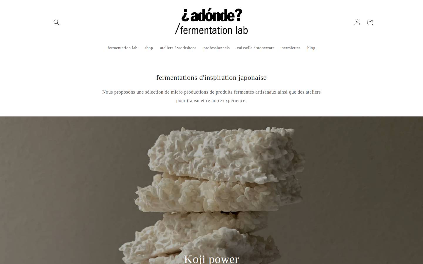 adonde.fr homepage screenshot
