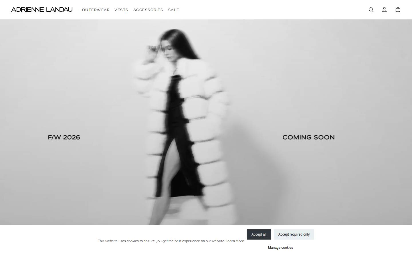 adriennelandau.com homepage screenshot