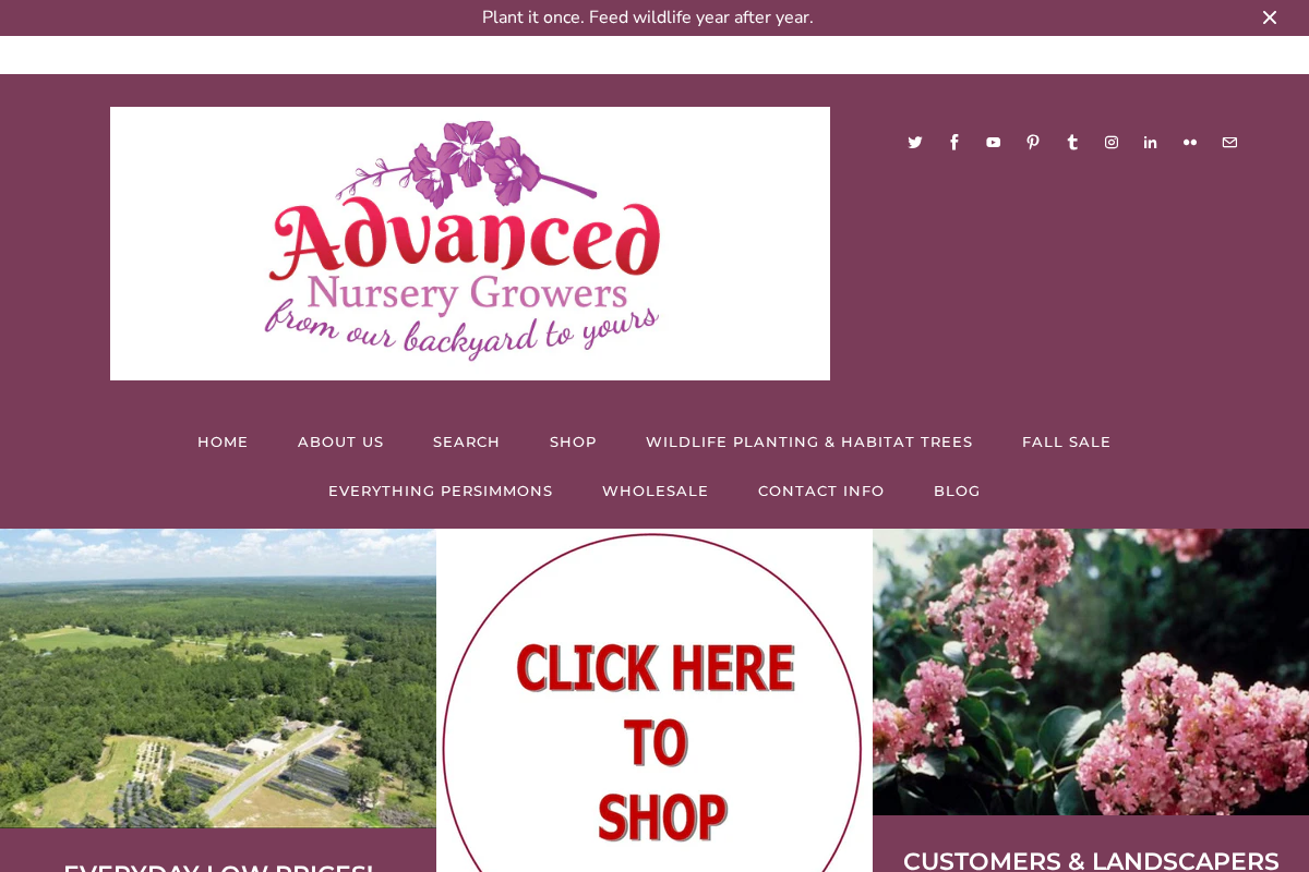 Advanced Nursery Growers homepage screenshot