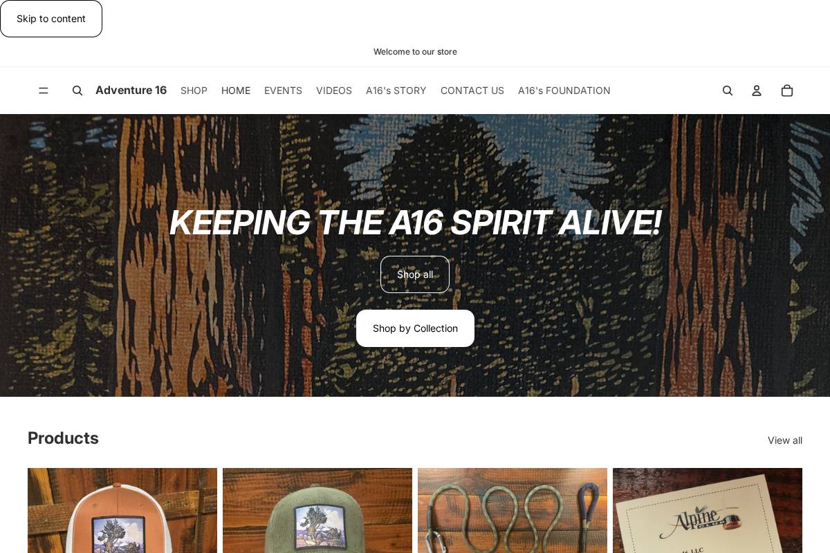 Adventure 16 homepage screenshot