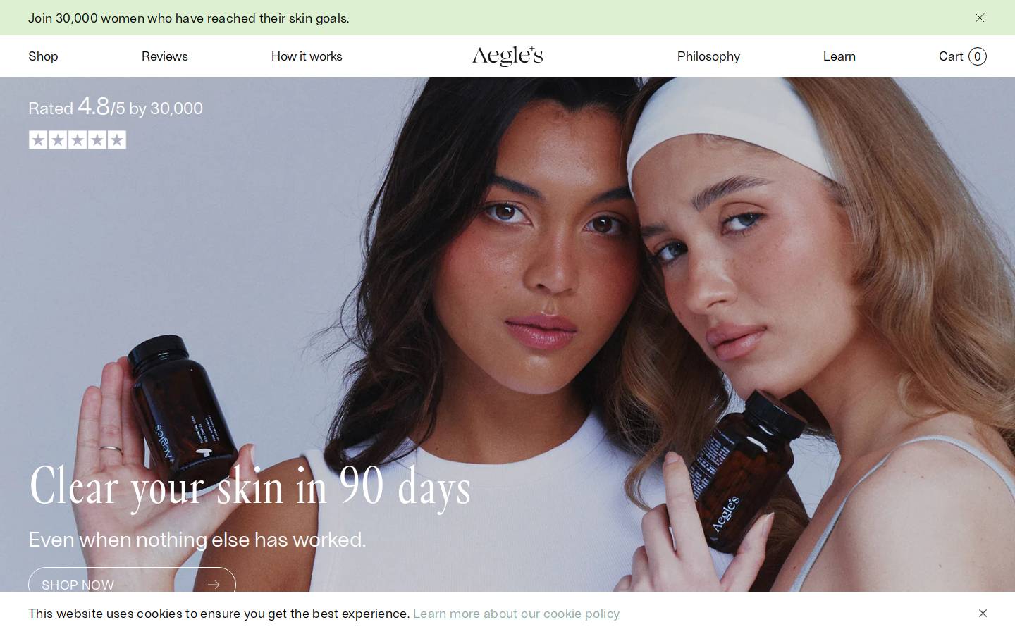 Aegle's homepage screenshot