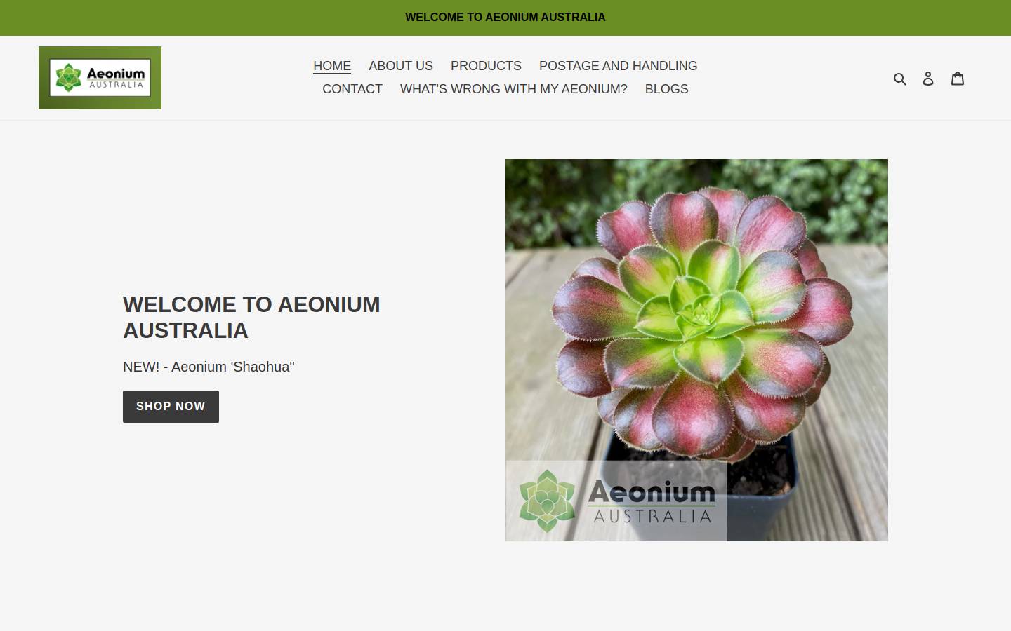 aeoniumaustralia.com.au homepage screenshot