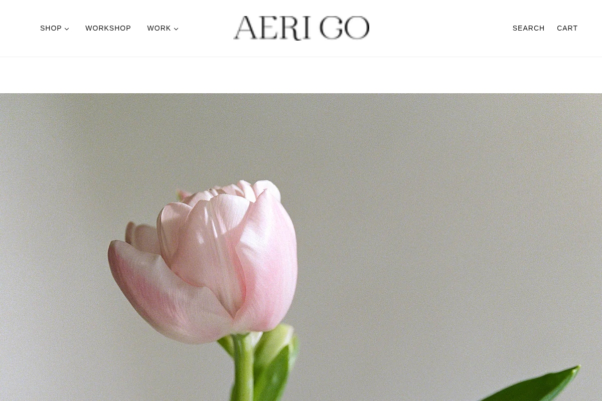 aeri-go.com homepage screenshot