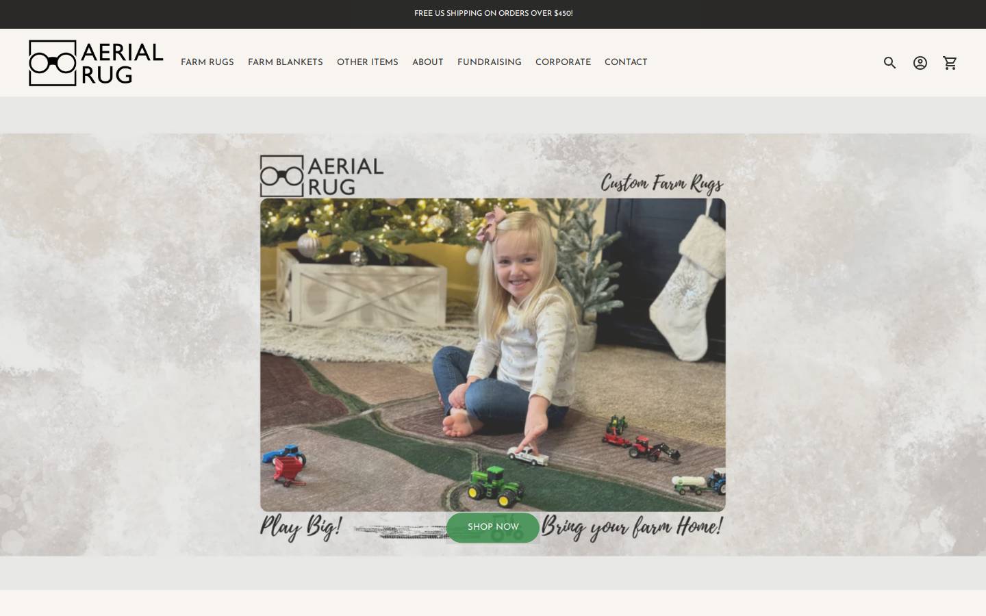 aerialrug.com homepage screenshot