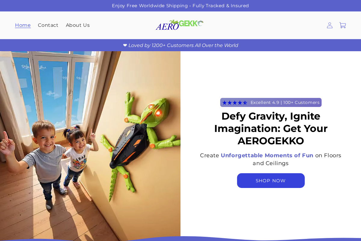 AeroGekko homepage screenshot
