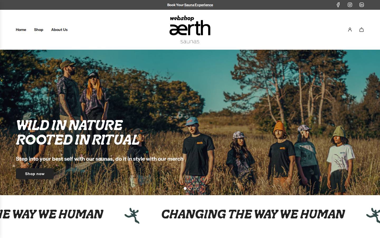 aerth.shop homepage screenshot