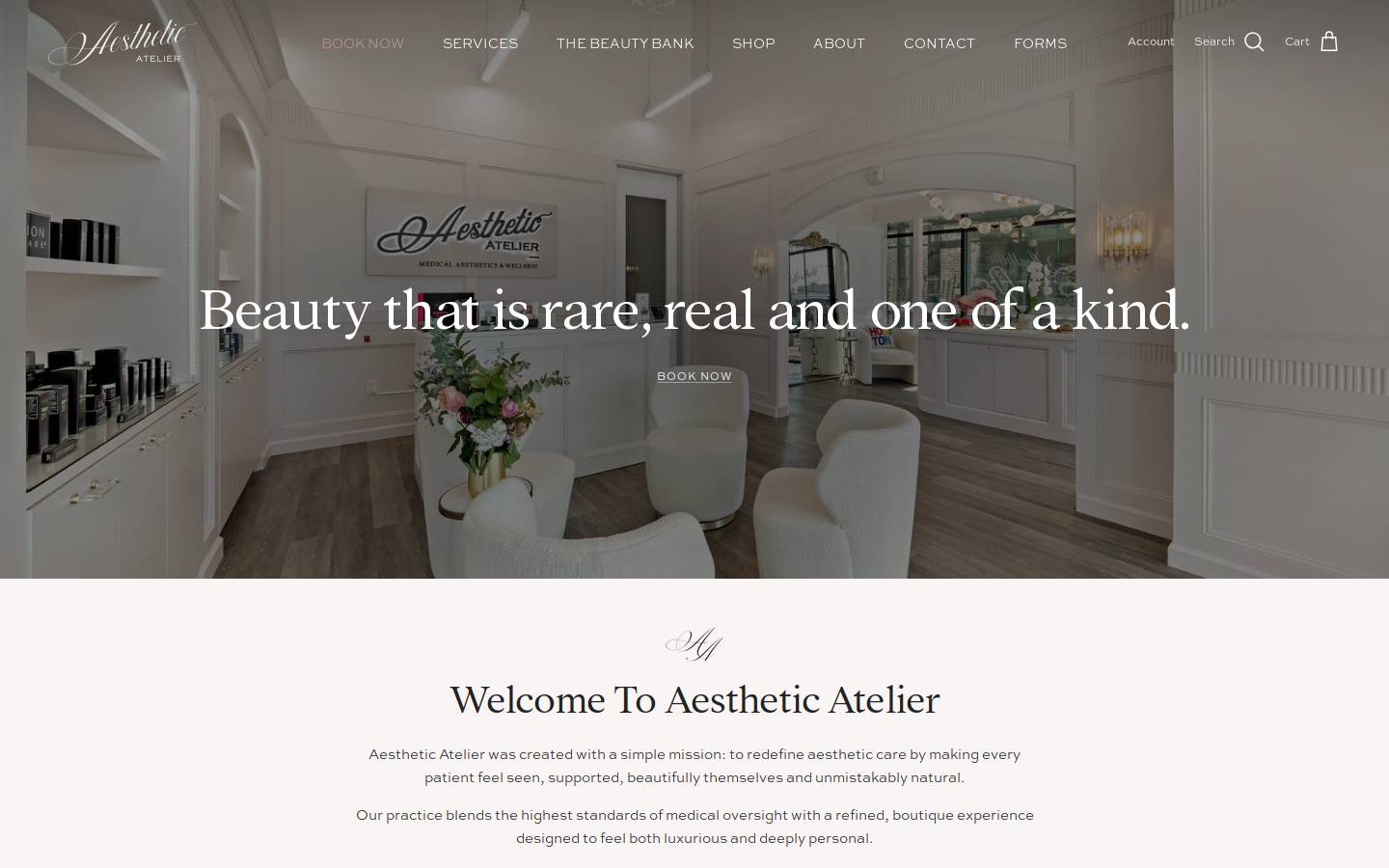 aestheticatelier.com homepage screenshot