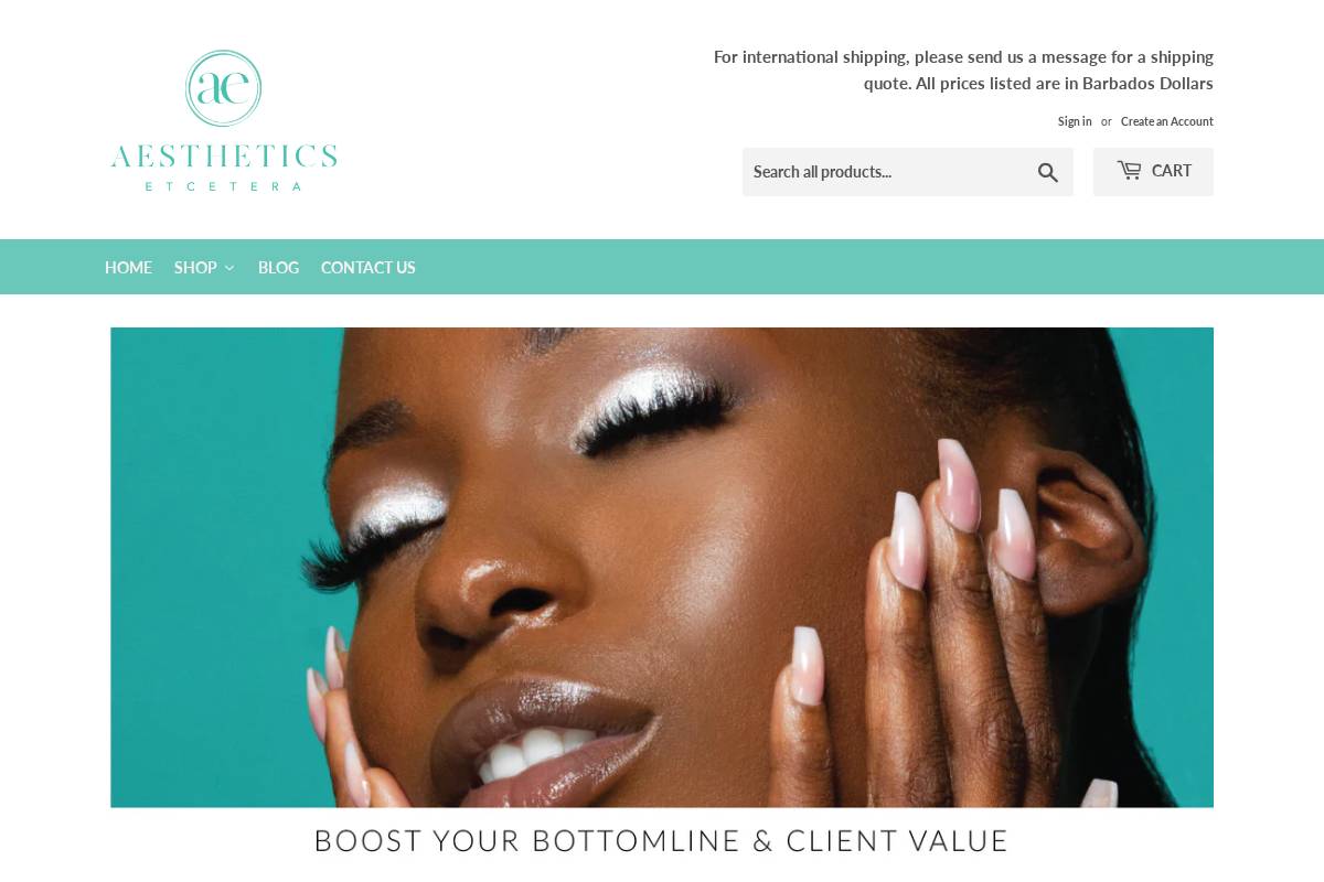 aestheticsetcetera.com homepage screenshot