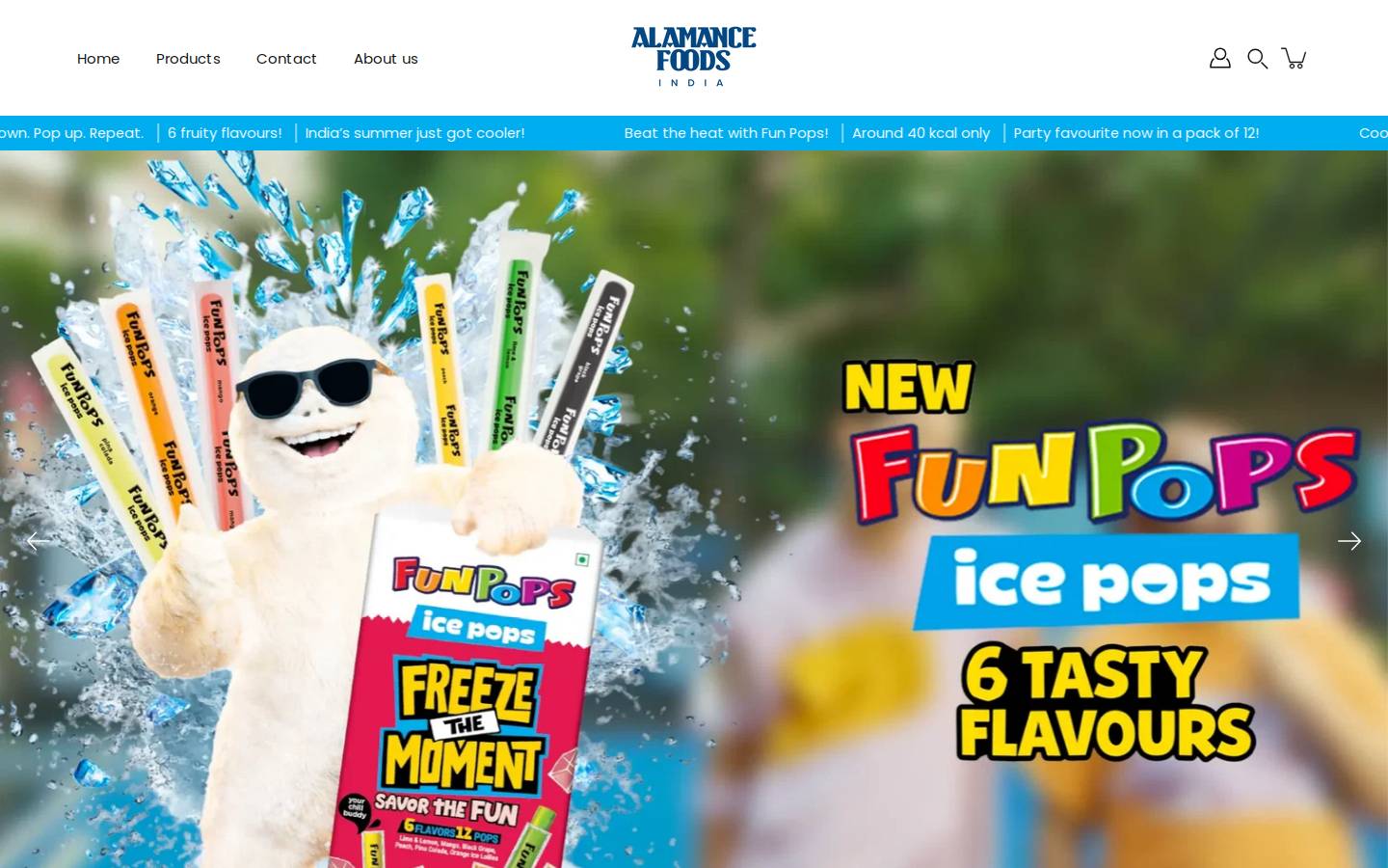 afindia.co.in homepage screenshot