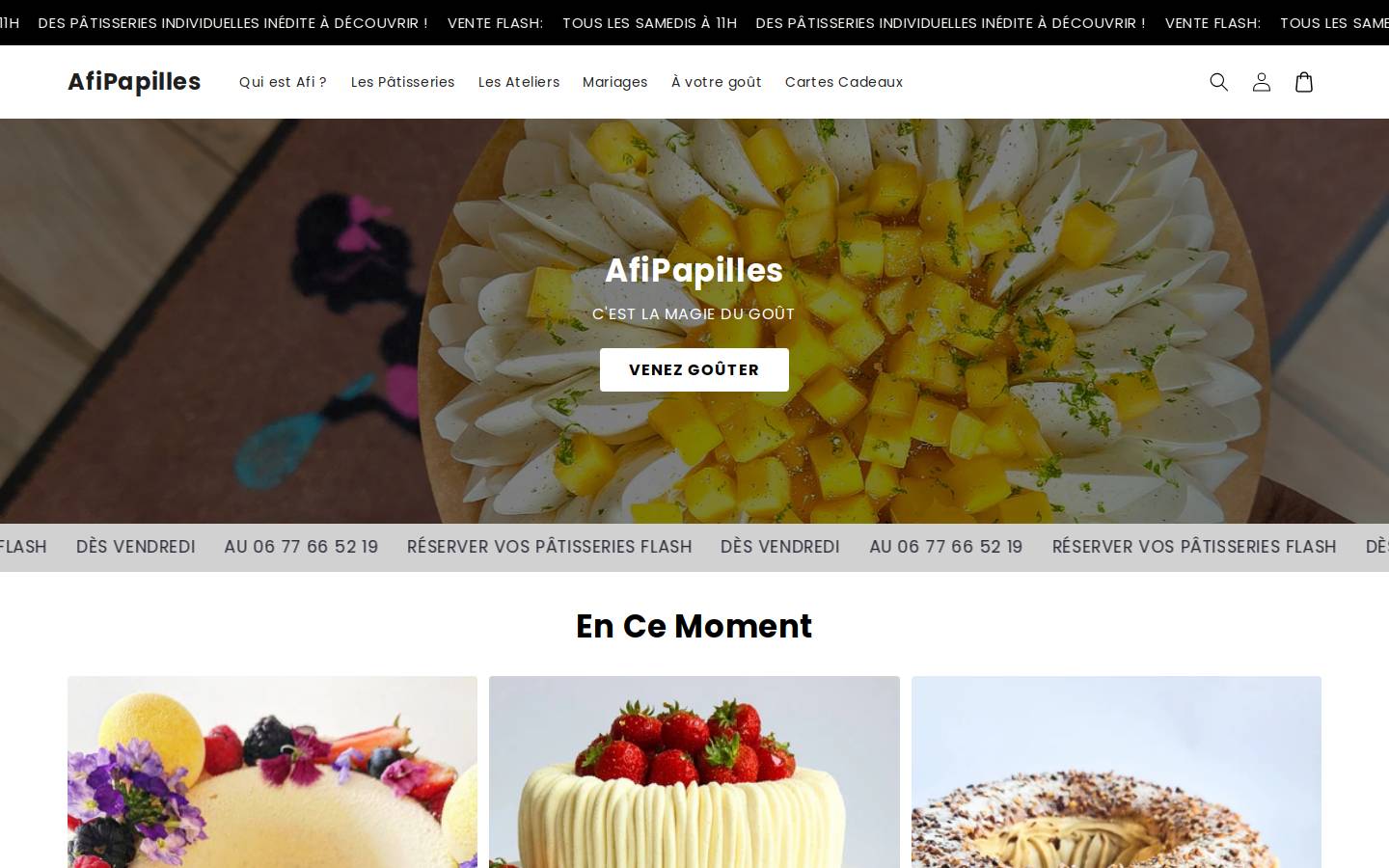 afipapilles.fr homepage screenshot