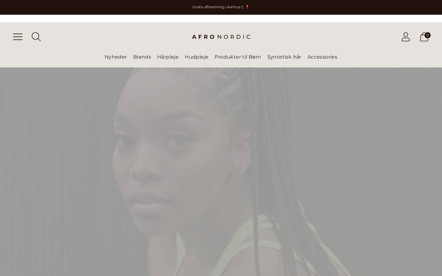 Afro Nordic homepage screenshot