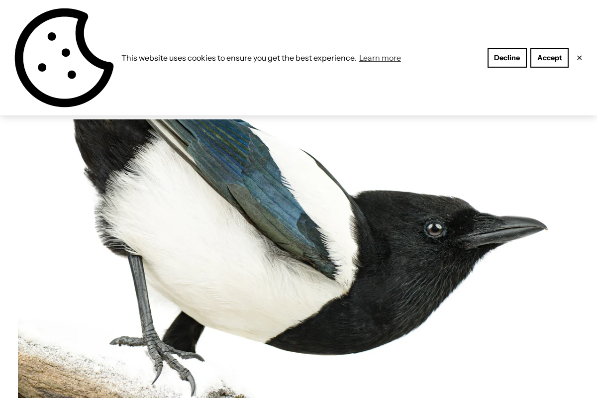 after-life.se homepage screenshot