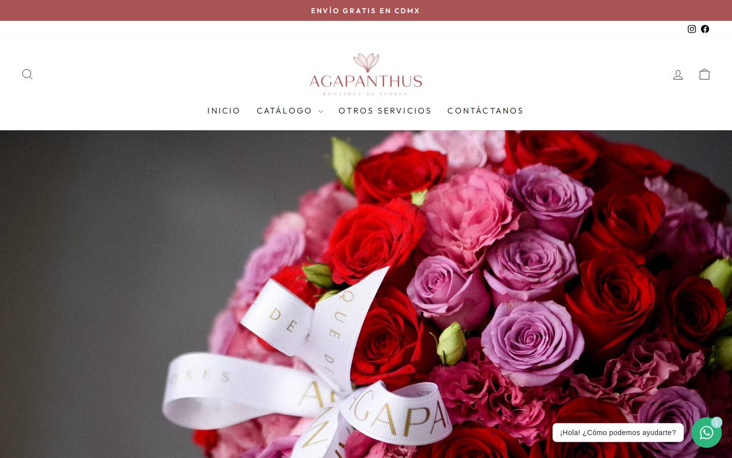 agapanthus.com.mx homepage screenshot